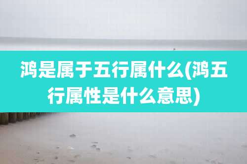 鸿是属于五行属什么(鸿五行属性是什么意思)