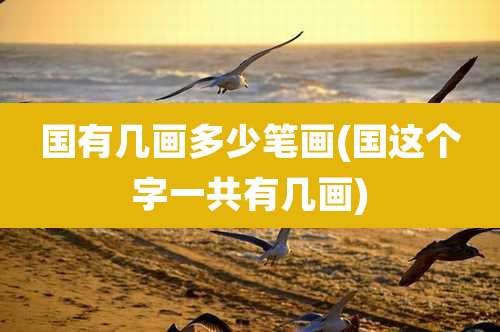 国有几画多少笔画(国这个字一共有几画)