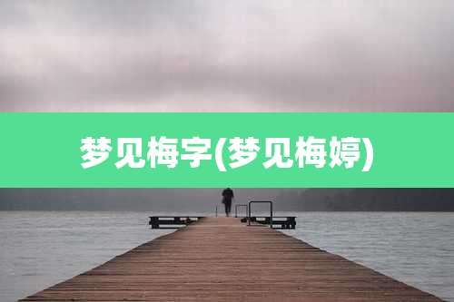 梦见梅字(梦见梅婷)