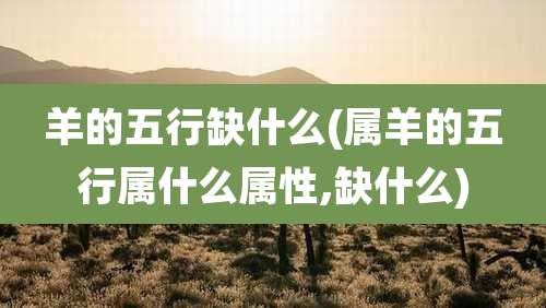 羊的五行缺什么(属羊的五行属什么属性,缺什么)