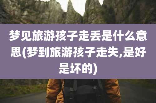 梦见旅游孩子走丢是什么意思(梦到旅游孩子走失,是好是坏的)