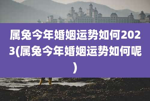 属兔今年婚姻运势如何2023(属兔今年婚姻运势如何呢)