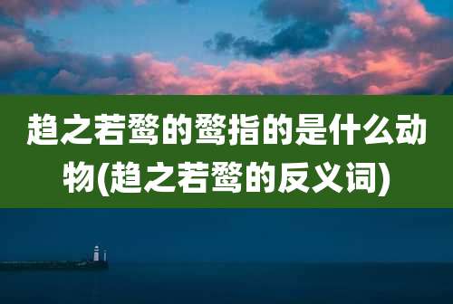 趋之若鹜的鹜指的是什么动物(趋之若鹜的反义词)