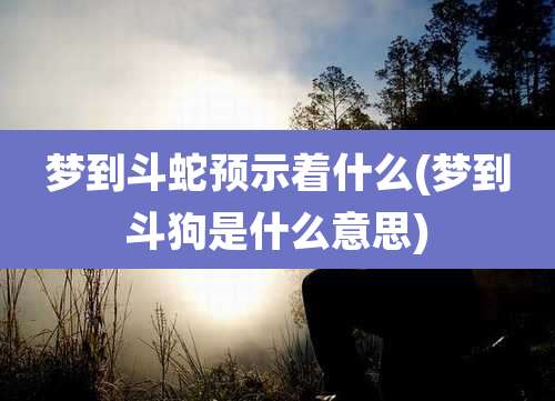 梦到斗蛇预示着什么(梦到斗狗是什么意思)