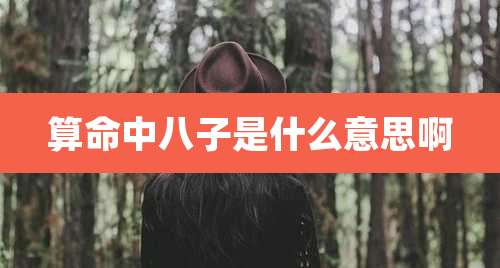 算命中八子是什么意思啊