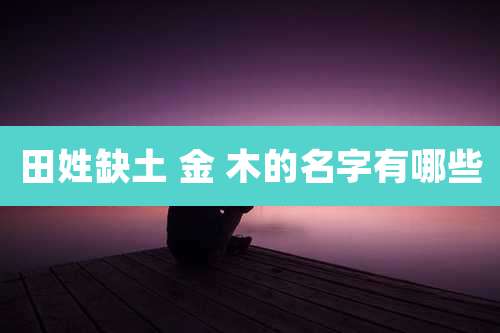 田姓缺土 金 木的名字有哪些