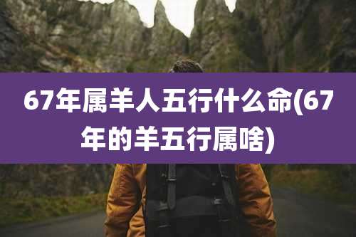 67年属羊人五行什么命(67年的羊五行属啥)
