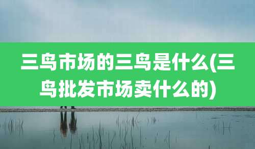 三鸟市场的三鸟是什么(三鸟批发市场卖什么的)