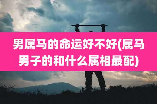 男属马的命运好不好(属马男子的和什么属相最配)