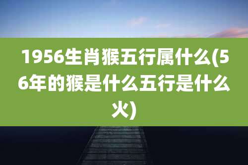 1956生肖猴五行属什么(56年的猴是什么五行是什么火)