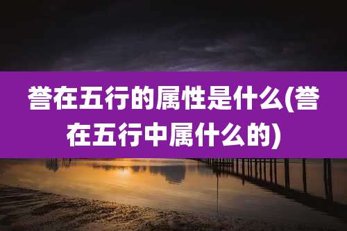 誉在五行的属性是什么(誉在五行中属什么的)