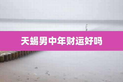 天蝎男中年财运好吗