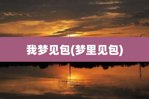 我梦见包(梦里见包)