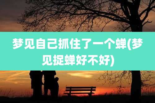 梦见自己抓住了一个蝉(梦见捉蝉好不好)