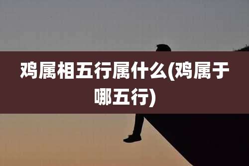 鸡属相五行属什么(鸡属于哪五行)