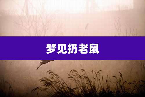 梦见扔老鼠