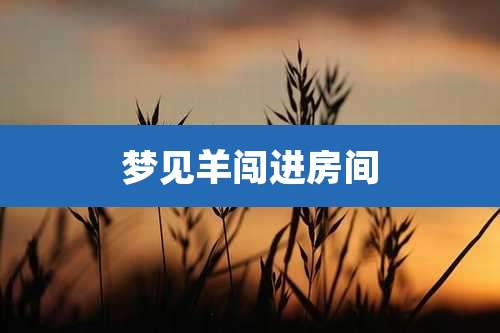 梦见羊闯进房间