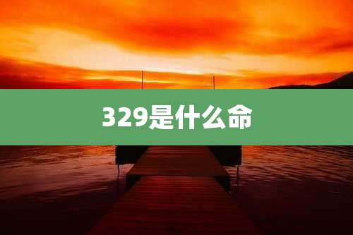 329是什么命