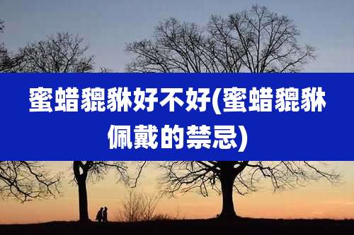蜜蜡貔貅好不好(蜜蜡貔貅佩戴的禁忌)