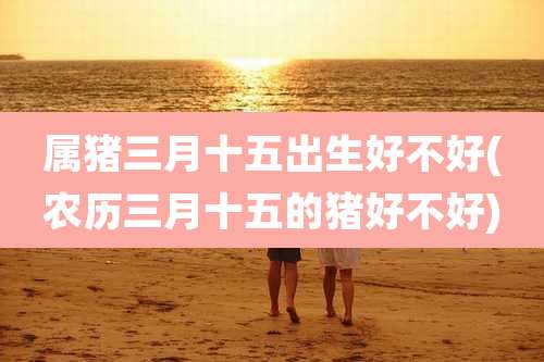 属猪三月十五出生好不好(农历三月十五的猪好不好)