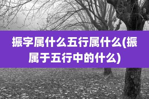 振字属什么五行属什么(振属于五行中的什么)