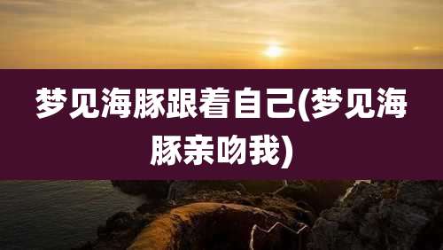 梦见海豚跟着自己(梦见海豚亲吻我)