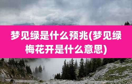 梦见绿是什么预兆(梦见绿梅花开是什么意思)