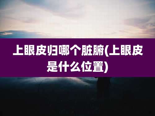 上眼皮归哪个脏腑(上眼皮是什么位置)