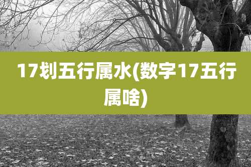 17划五行属水(数字17五行属啥)