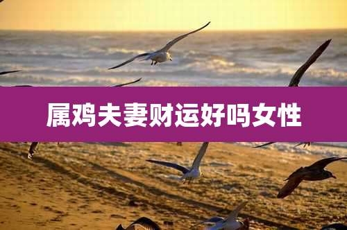 属鸡夫妻财运好吗女性