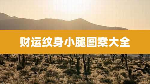 财运纹身小腿图案大全