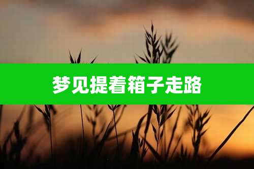 梦见提着箱子走路