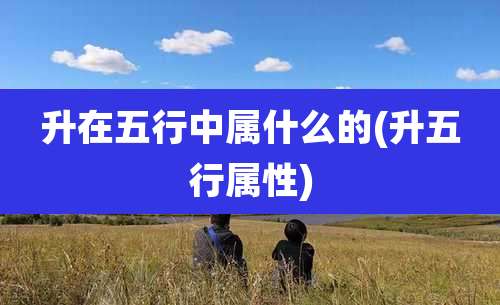 升在五行中属什么的(升五行属性)