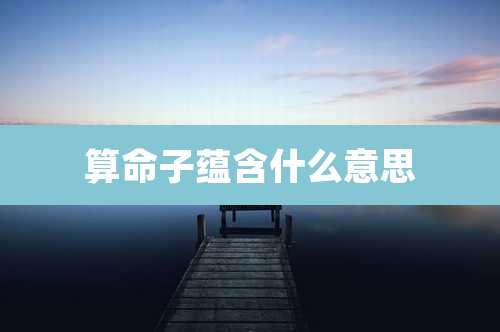 算命子蕴含什么意思