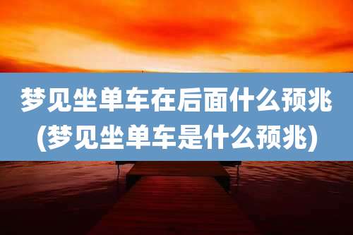 梦见坐单车在后面什么预兆(梦见坐单车是什么预兆)