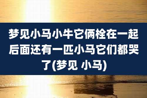 梦见小马小牛它俩栓在一起后面还有一匹小马它们都哭了(梦见 小马)
