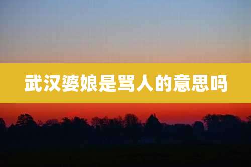 武汉婆娘是骂人的意思吗