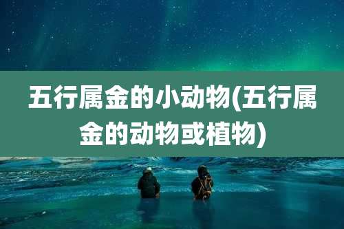 五行属金的小动物(五行属金的动物或植物)