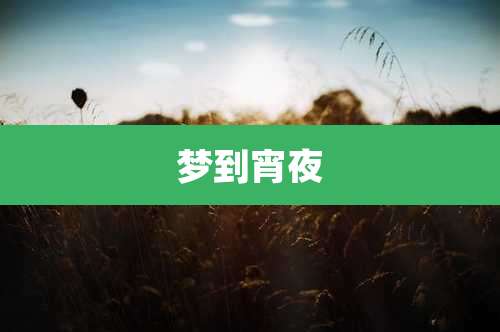 梦到宵夜