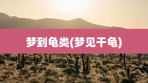 梦到龟类(梦见干龟)