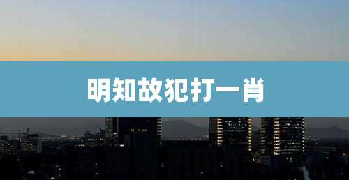 明知故犯打一肖