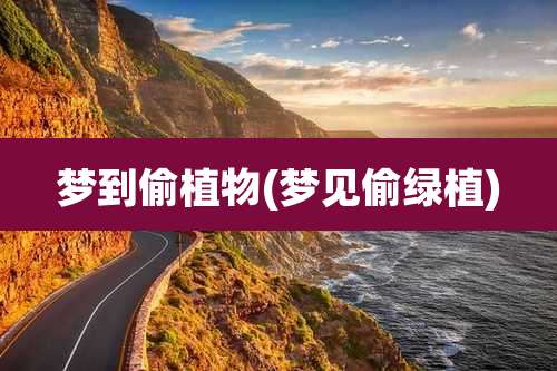 梦到偷植物(梦见偷绿植)