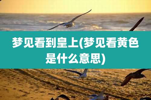 梦见看到皇上(梦见看黄色是什么意思)