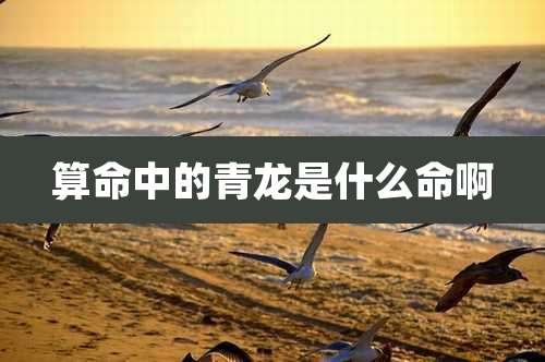 算命中的青龙是什么命啊