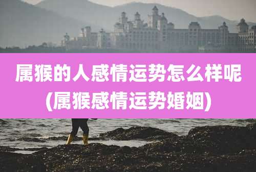 属猴的人感情运势怎么样呢(属猴感情运势婚姻)