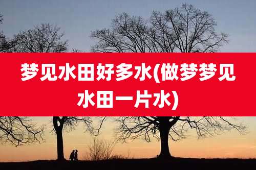 梦见水田好多水(做梦梦见水田一片水)