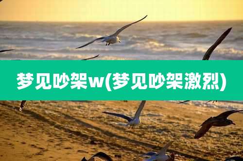 梦见吵架w(梦见吵架激烈)