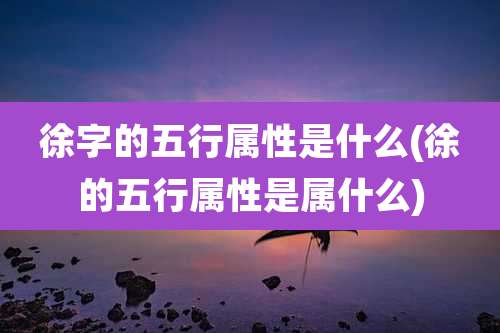 徐字的五行属性是什么(徐的五行属性是属什么)