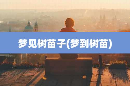 梦见树苗子(梦到树苗)