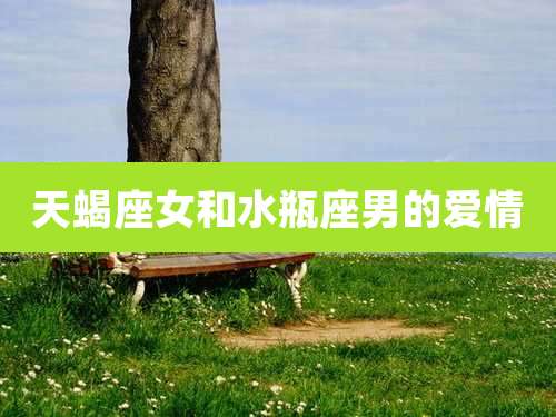 天蝎座女和水瓶座男的爱情